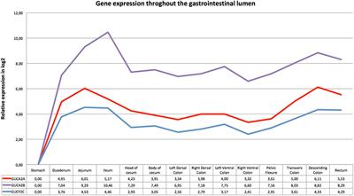 Guanylin, Uroguanylin and Guanylate Cyclase-C Are Expressed in the Gastrointestinal Tract of Horses